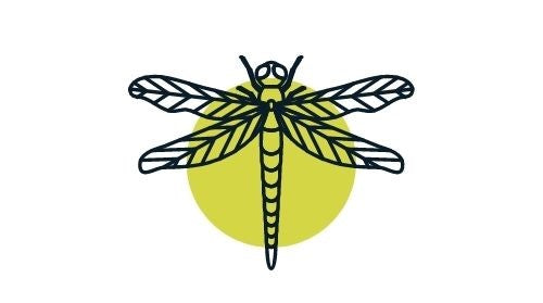 Dragonfly Jewelry Supply