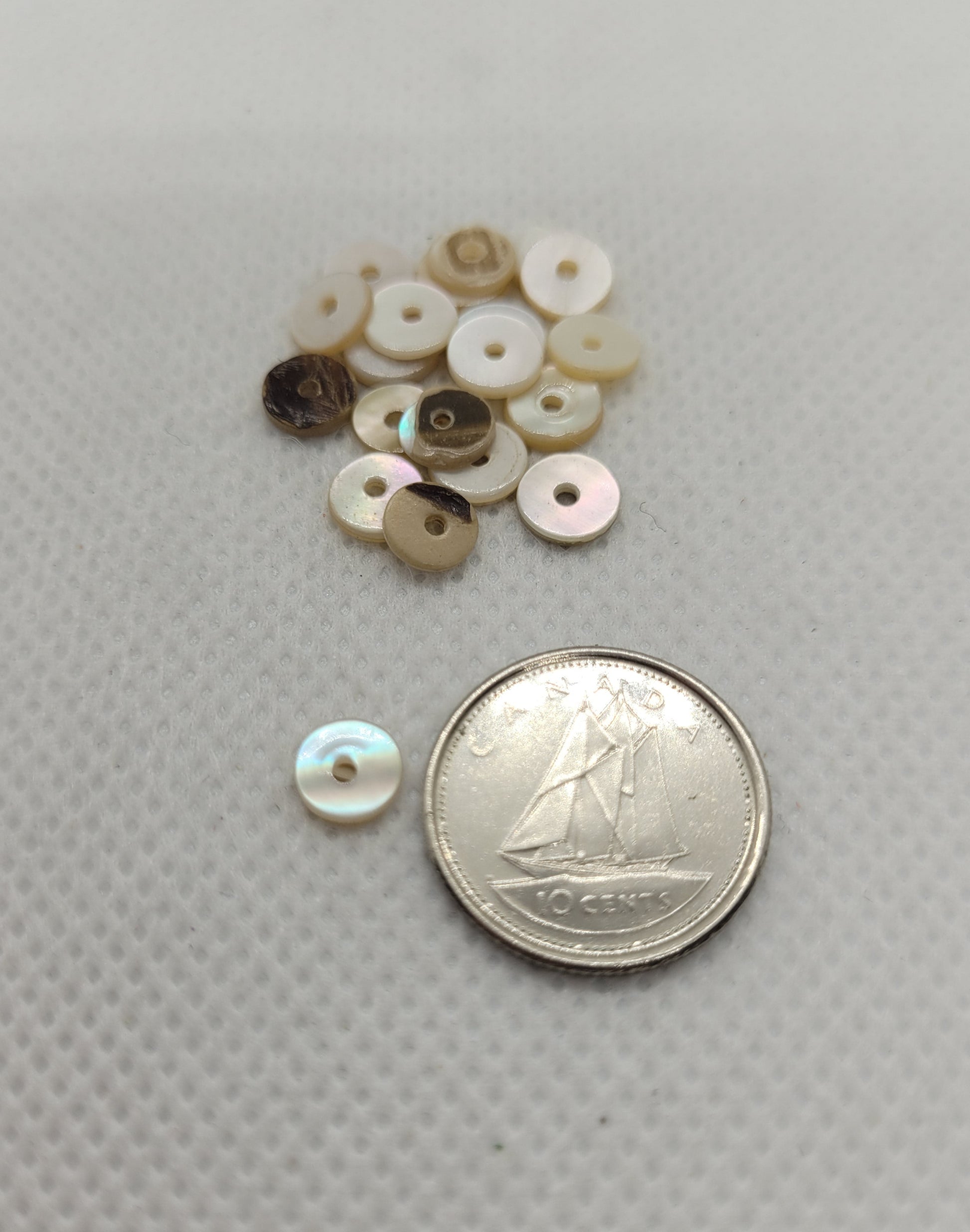 Natural Freshwater Shell Beads, Heishi Beads, Flat Round Disc, 20 pieces, Natural oyster colours from light to dark, 6x1mm, Hole 1mm